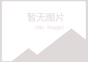 西吉县夏日化学有限公司